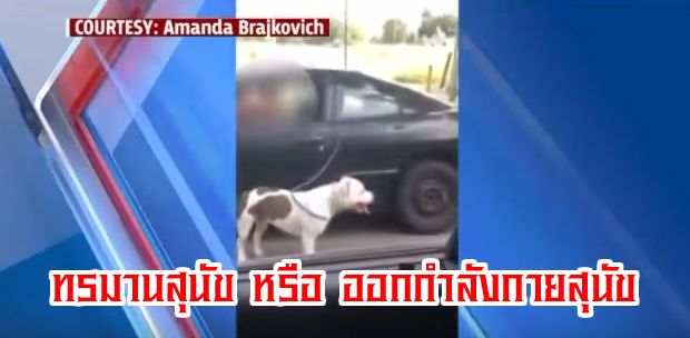 ทรมานสุนัข หรืออกกำลังกาย ผูกสุนัขติดกับรถยนต์