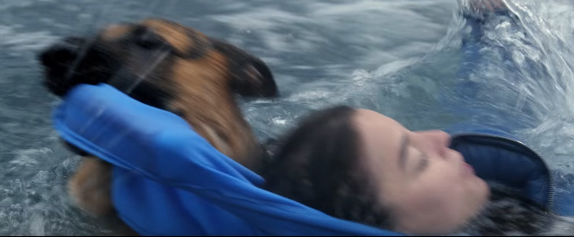 A Dog's Purpose - Official Trailer (HD)