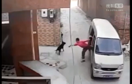 คลิปคนจีนขโมยสุนัขโดยใช้บ่วงรัดคอลากขึ้นรถ คาดเอาไปทำอาหาร