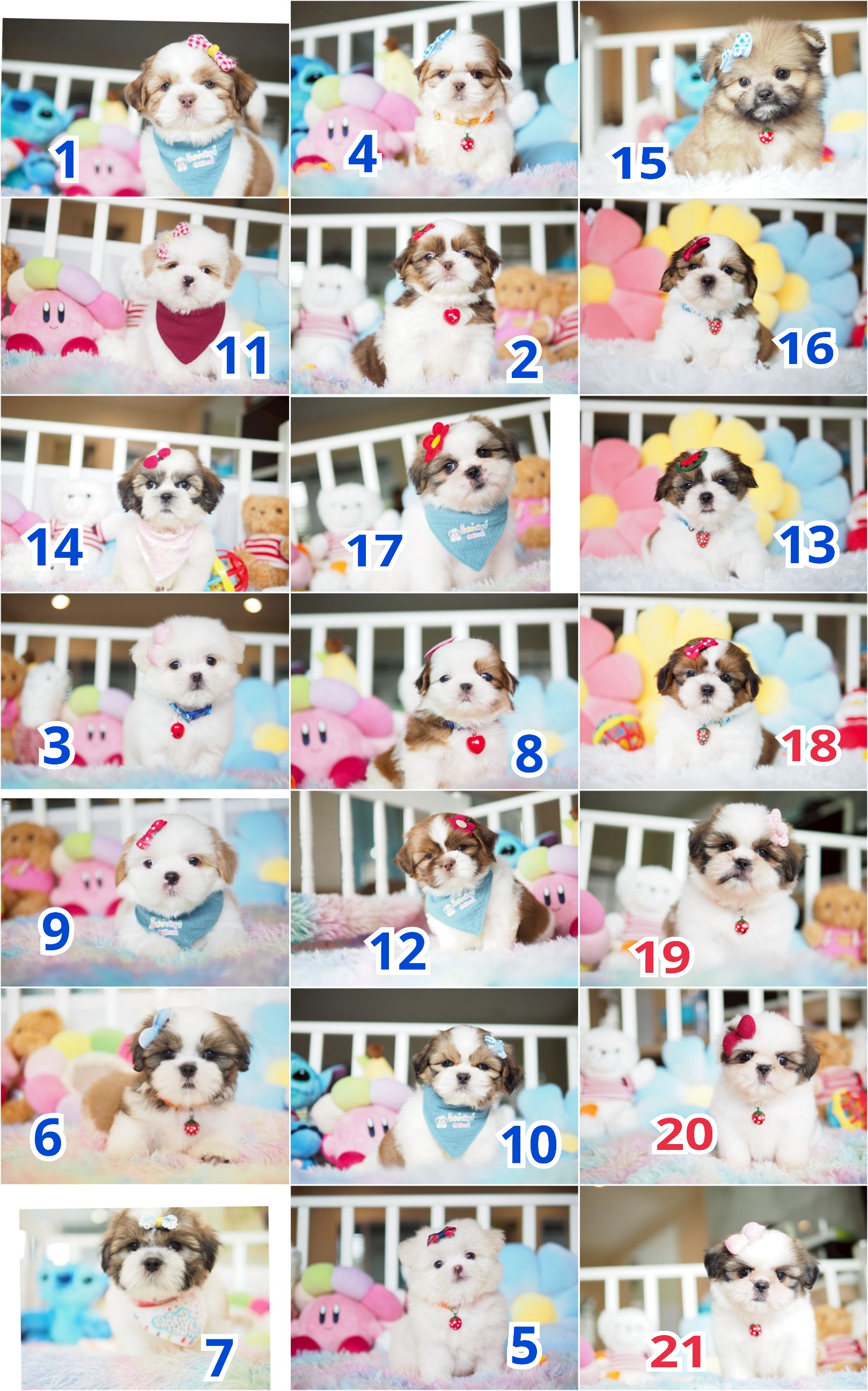 เลือกแน่นๆ